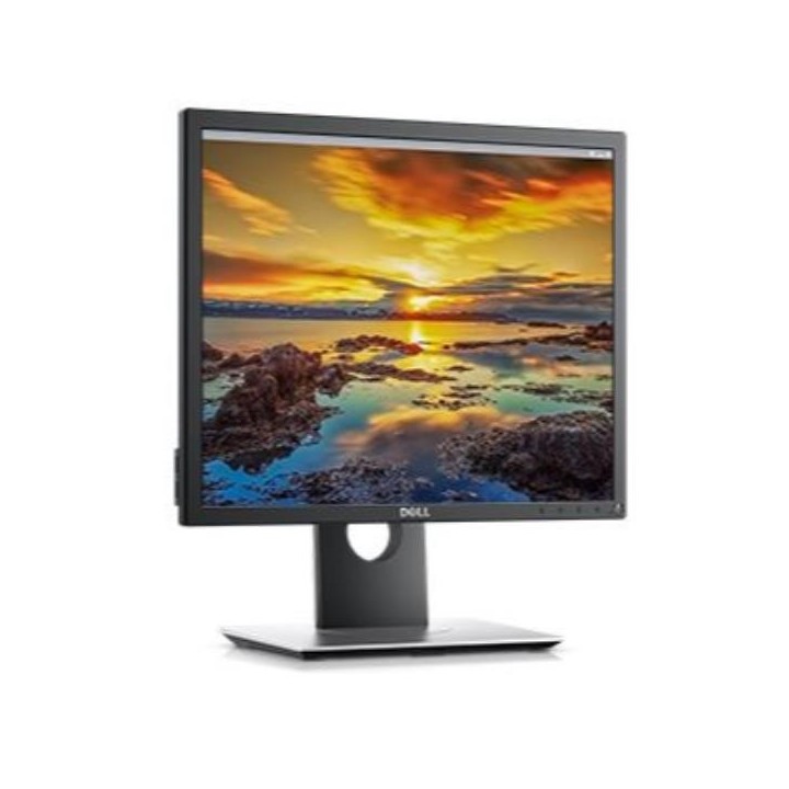 DELL 19 MONITOR   P1917S
