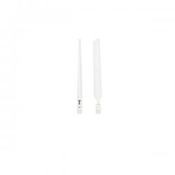 ANTENNE LTE ESTERNE CONNETTORE SMA