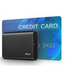 PNY - 240GB SSD Esterno USB 3.1