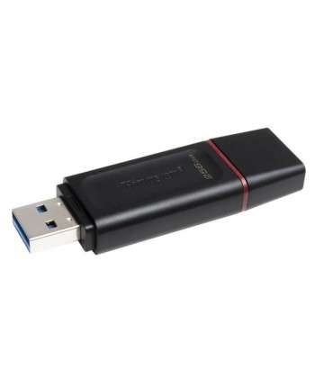 KINGSTON - PEN DRIVE 256GB DTX USB3.2