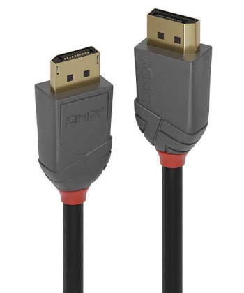 LINDY - CAVO DisplayPort 1.4 2M