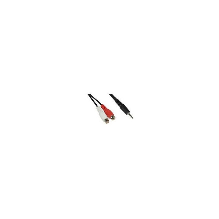 CAVO PROLUNGA 2 RCA F A JACK M 3,5mm 2mt