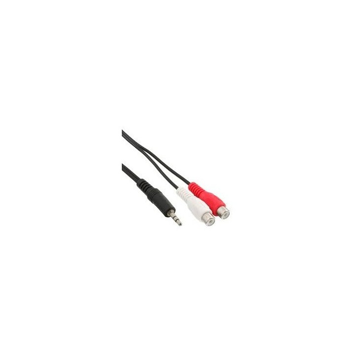 CAVO PROLUNGA 2 RCA F A JACK M 3,5mm 3mt