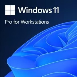 MICROSOFT - Windows 11 Pro for Workstations 64bit oem