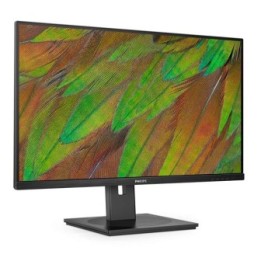 PHILIPS - 31,5 MONITOR VA 3840X2160 REG ALT