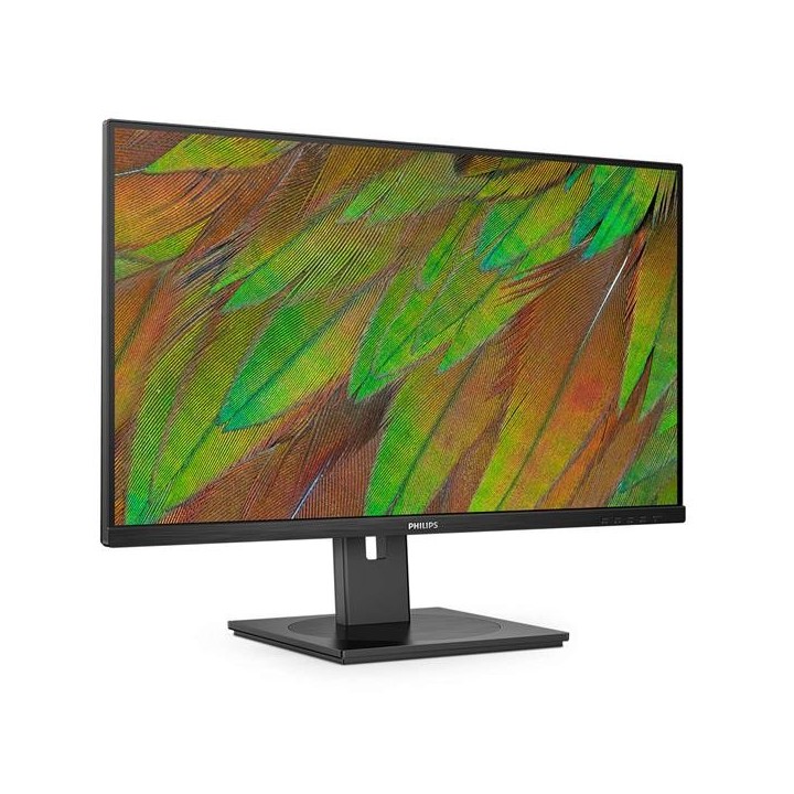 PHILIPS - 31,5 MONITOR VA 3840X2160 REG ALT