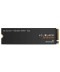 WESTERN DIGITAL - 2TB SN8100 WD Black SSD M.2 NVMe 5.0