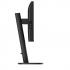 PHILIPS - 23,8 MONITOR 120HZ REG ALT USB-C