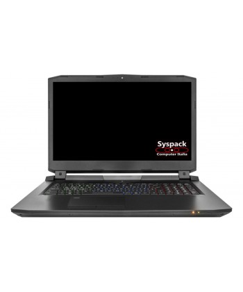CLEVO - P775TM1-G i9 9900K DDR4 2xHDD Sata + 2 M.2 RTX 2070 8GB 17.3" FullHD 144Hz G-Sync Tastiera retroilluminata
