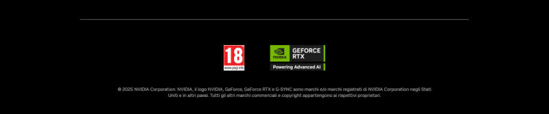 Footer Nvidia